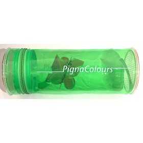 ASTUCCIO VERDE monocromo TRASPARENTE silicone IRIDESCENTE pencil case PIGNA COLOURS PIGNA - 1
