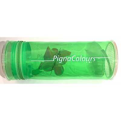 ASTUCCIO VERDE monocromo TRASPARENTE silicone IRIDESCENTE pencil case PIGNA COLOURS PIGNA - 1