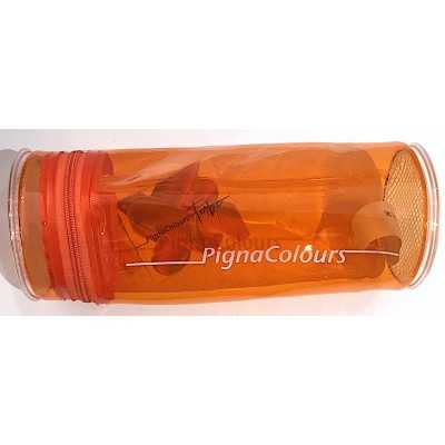 ASTUCCIO ARANCIONE monocromo TRASPARENTE silicone IRIDESCENTE pencil case PIGNA COLOURS PIGNA - 1