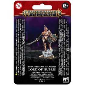 LORD OF HUBRIS miniatura in plastica HEDONITES OF SLAANESH warhammer AGE OF SIGMAR età 12+ Games Workshop - 1