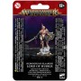 LORD OF HUBRIS miniatura in plastica HEDONITES OF SLAANESH warhammer AGE OF SIGMAR età 12+ Games Workshop - 1
