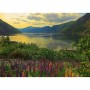 PUZZLE ravensburger FIORDO IN NORVEGIA scandinavian places 1000 PEZZI orizzontale 50 X 70 CM Ravensburger - 2