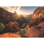 PUZZLE ravensburger ZION CANYON USA n 19 nature edition 1000 PEZZI orizzontale 50 X 70 CM Ravensburger - 2