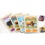 ARGENTINA gioco da tavolo GREAT WESTERN TRAIL ghenos games IN ITALIANO gwt INDIPENDENTE età 12+ Ghenos Games - 7