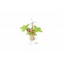 SET AUTO A ENERGIA SOLARE tree planting ecar HAPE bradipo aria IN BAMBOO green planet explorers E3417 età 3+ Hape - 6