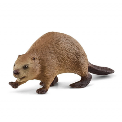 CASTORO miniatura SCHLEICH in resina WILD LIFE animali 14855 età 3+ Schleich - 1