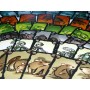 IL POKER DEGLI SCARAFAGGI party game IN ITALIANO gioco di carte DEVIR età 8+ DEVIR - 2