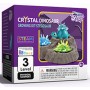 CRYSTAL DINOSAUR kit scientifico SCIENCE CAN stegosauro CRISTALLI età 8+ - 1