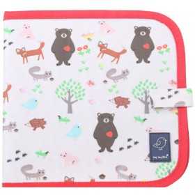 ORSI animali ALBUM DISEGNA E CANCELLA kit artistico JAQ JAQ BIRD doodle it & go ERASABLE BOOK età 3+ JAQ JAQ BIRD - 1