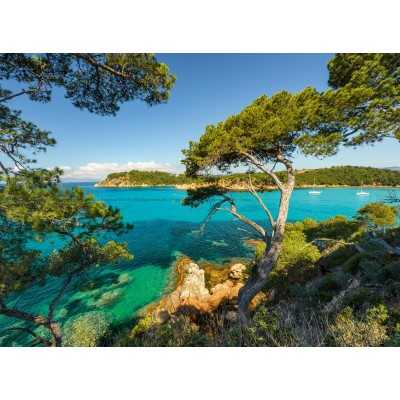 PUZZLE 500 VISTA SUL MARE ravensburger 500 PEZZI cm 49 x 36 ORIGINALE Ravensburger - 2