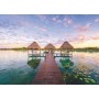 PUZZLE 1000 RIFUGIO TROPICALE ravensburger 1000 PEZZI cm 70 x 50 Ravensburger - 2