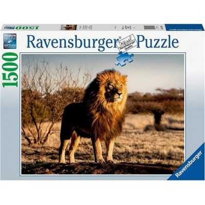 PUZZLE 1000 LEONE ravensburger 1000 PEZZI cm 70 x 50 Ravensburger - 1