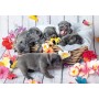 PUZZLE 2X12 PICCOLE PALLE DI PELO ravensburger 2 PUZZLE DA 12 PEZZI età 3+ Ravensburger - 2