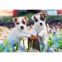 PUZZLE 2X12 PICCOLE PALLE DI PELO ravensburger 2 PUZZLE DA 12 PEZZI età 3+ Ravensburger - 3