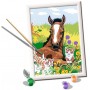 PULEDRO E GATTINO kit artistico CREART ravensburger 15 COLORI con cornice e STICKERS età 9+ Ravensburger - 2