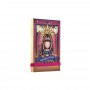 POCKET NOTEBOOK taccuino GORJUSS con elastico RAY OF LIGHT santoro 1121GJ07 Gorjuss - 2