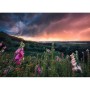 PUZZLE 1000 PEZZI ravensburger DREAMY THUNDER softclick POWER OF NATURE Ravensburger - 2