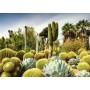 PUZZLE 1000 PEZZI ravensburger HUNTINGTON DESERT softclick BEAUTIFUL GARDENS Ravensburger - 2