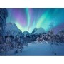 PUZZLE 1500 PEZZI ravensburger ARCTIC SHOW softclick POWER OF NATURE Ravensburger - 2