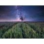 PUZZLE 1500 PEZZI ravensburger CAMPO STELLATO softclick POWER OF NATURE Ravensburger - 2