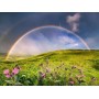 PUZZLE 1500 PEZZI ravensburger RAINBOWSCAPE softclick POWER OF NATURE Ravensburger - 2