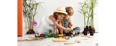 Treni in Legno Brio e Hape | Piste e Locomotori — Semola